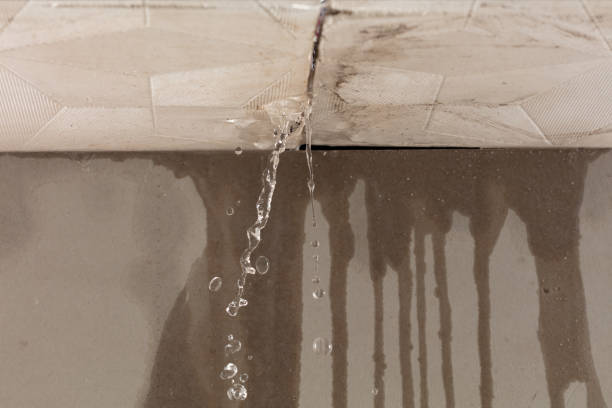 Professional Flood Damage Cleanup technician working in Trenton, SC